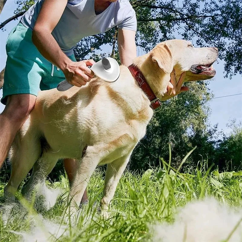 Escova PetClean com Remoção Automática de Pelos